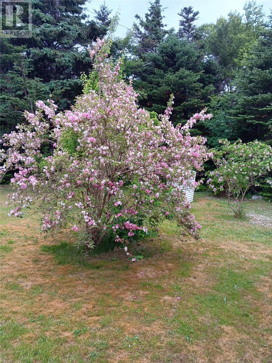 93 Forest Road, Conception Bay South, NL - Outdoor