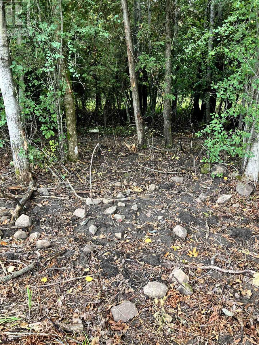 987 Bathurst 7Th Concession, Tay Valley, ON