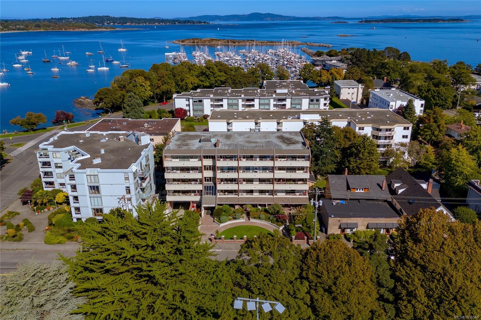 503-1175 Newport Ave, Oak Bay, BC - Outdoor With Body Of Water With View
