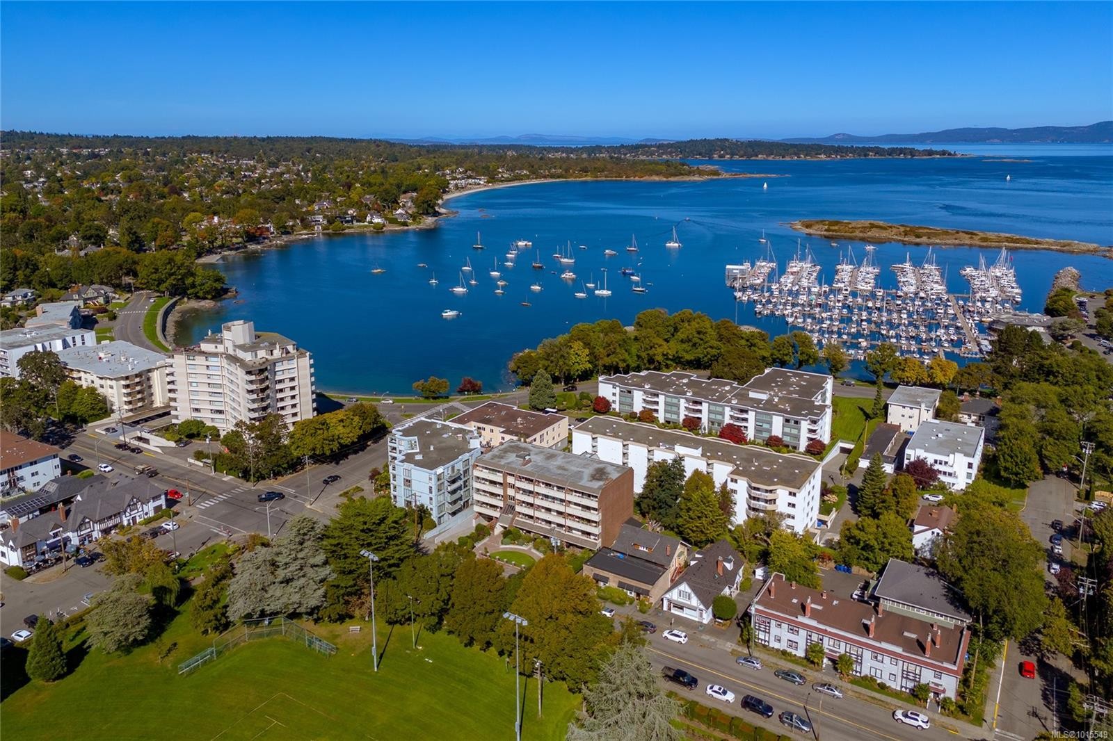 503-1175 Newport Ave, Oak Bay, BC - Outdoor With Body Of Water With View