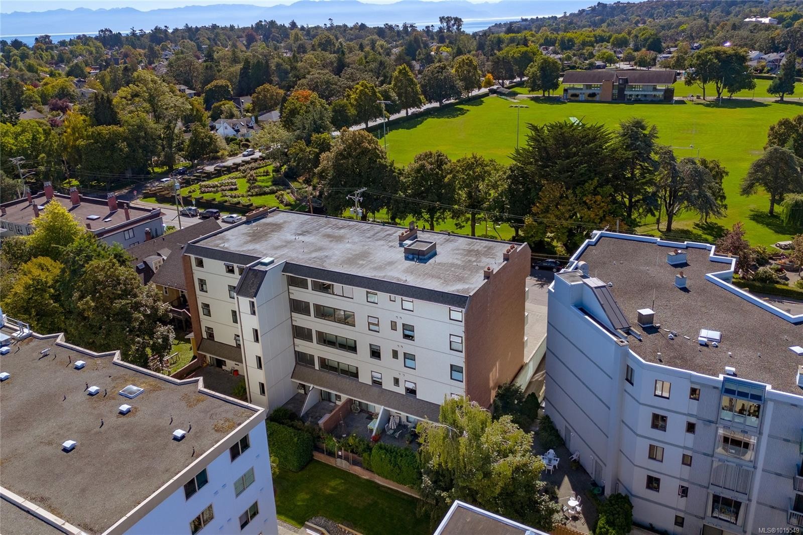 503-1175 Newport Ave, Oak Bay, BC - Outdoor With View