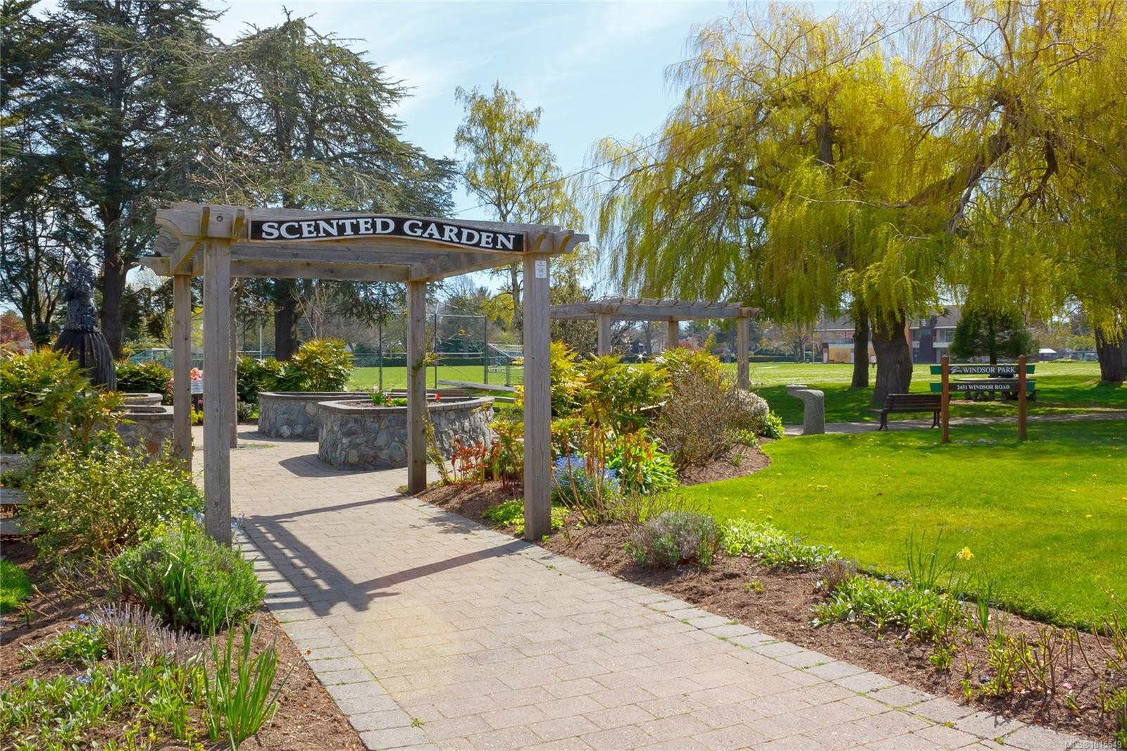 503-1175 Newport Ave, Oak Bay, BC - Outdoor