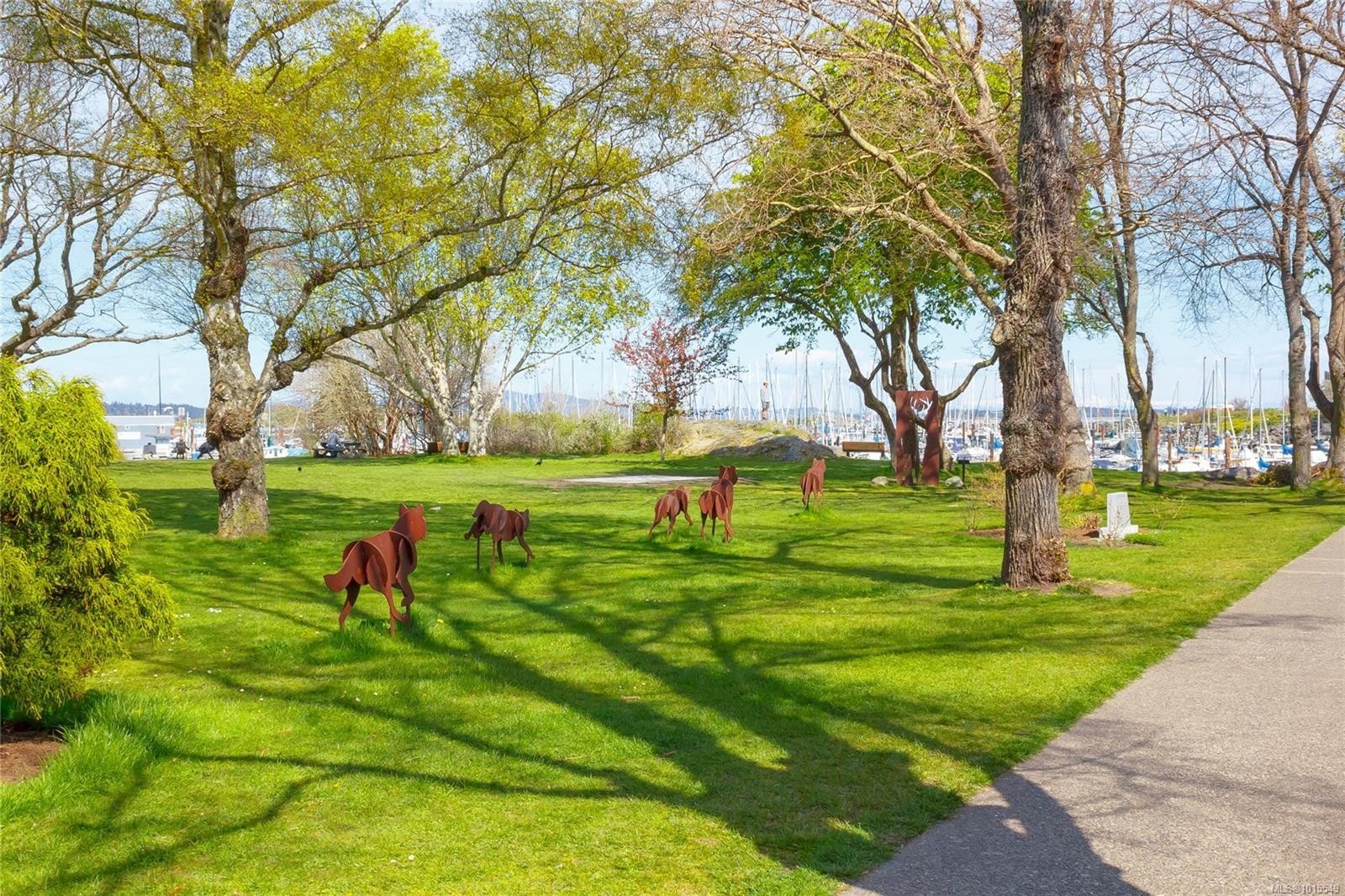 503-1175 Newport Ave, Oak Bay, BC - Outdoor With View