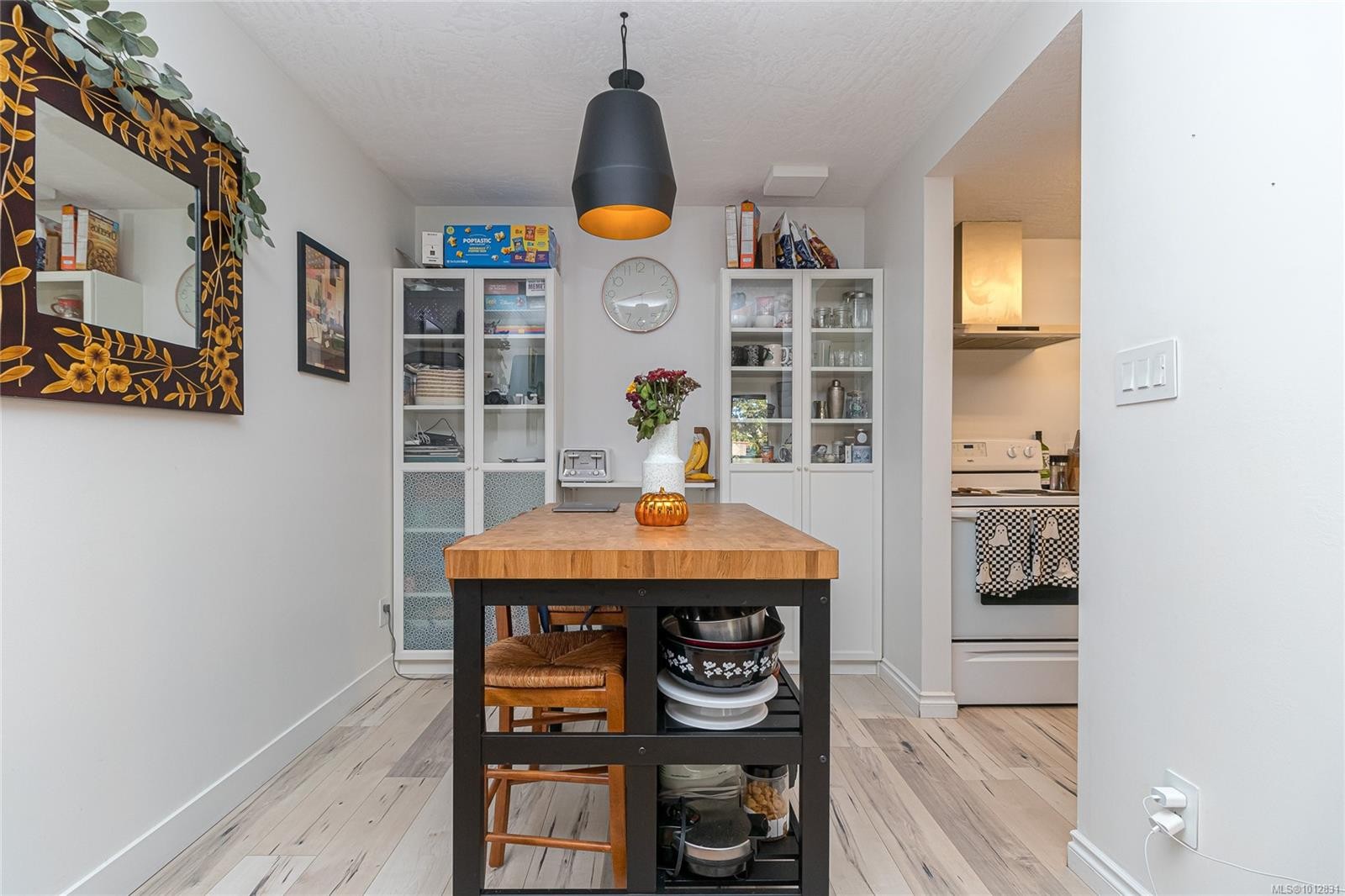 10-930 North Park St, Victoria, BC