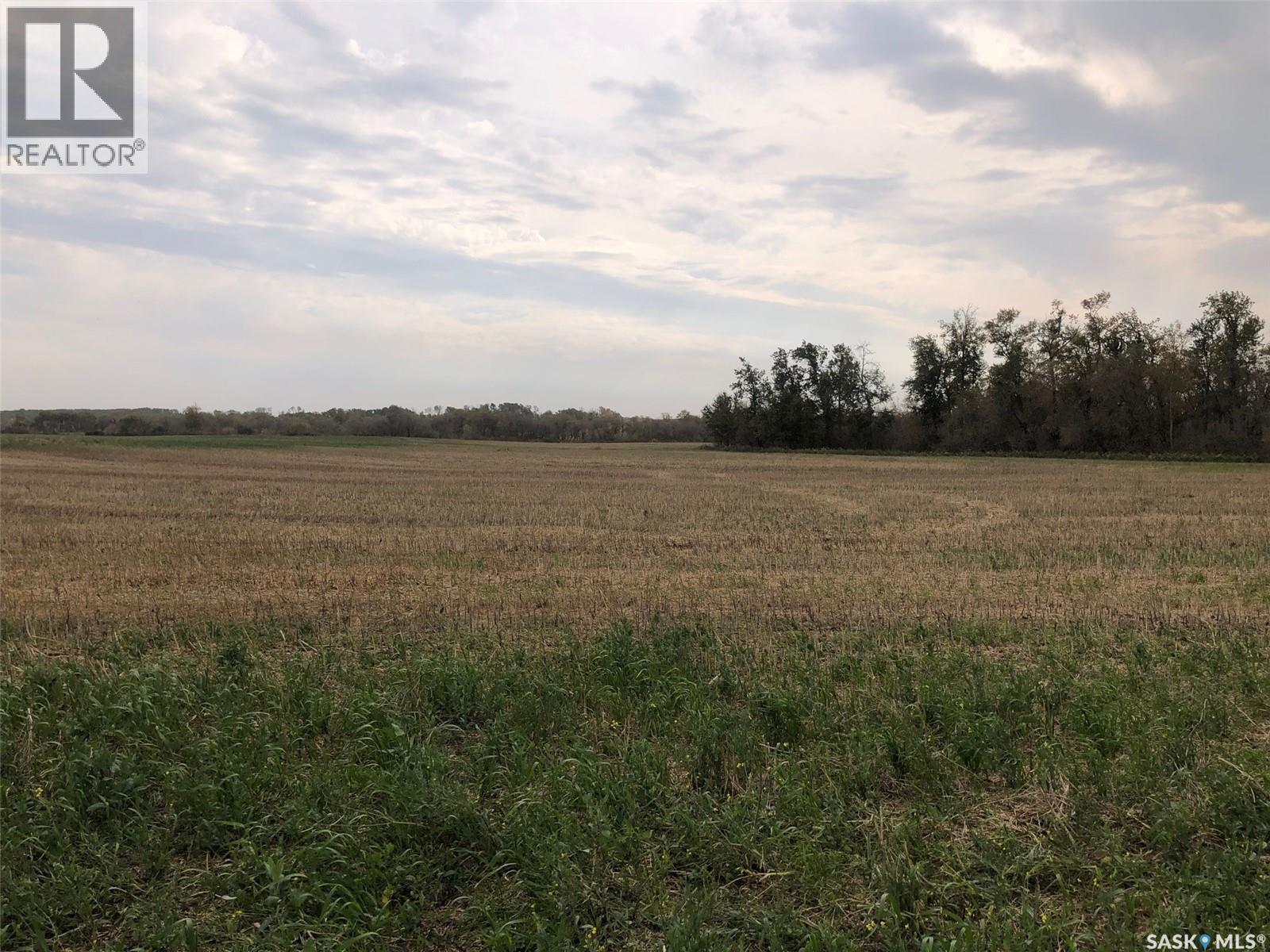 Tomilin Farm, Keys Rm No. 303, SK
