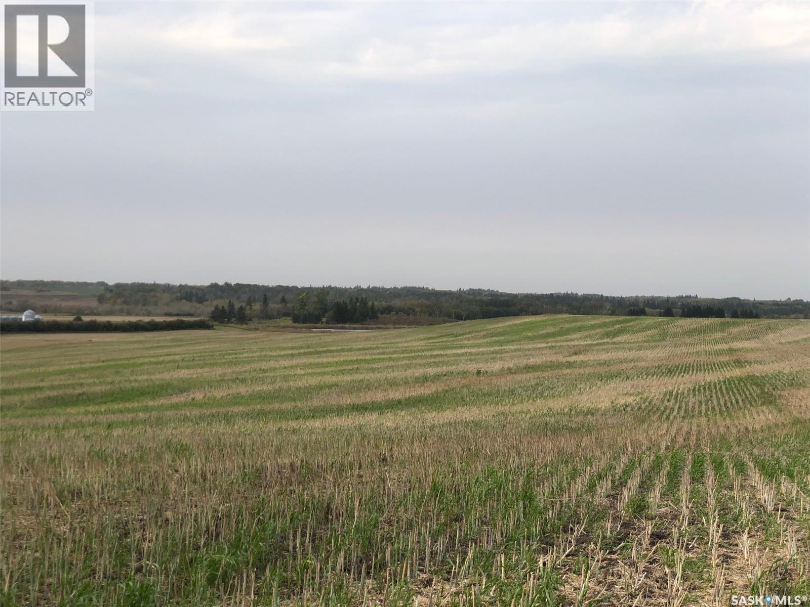Tomilin Farm, Keys Rm No. 303, SK