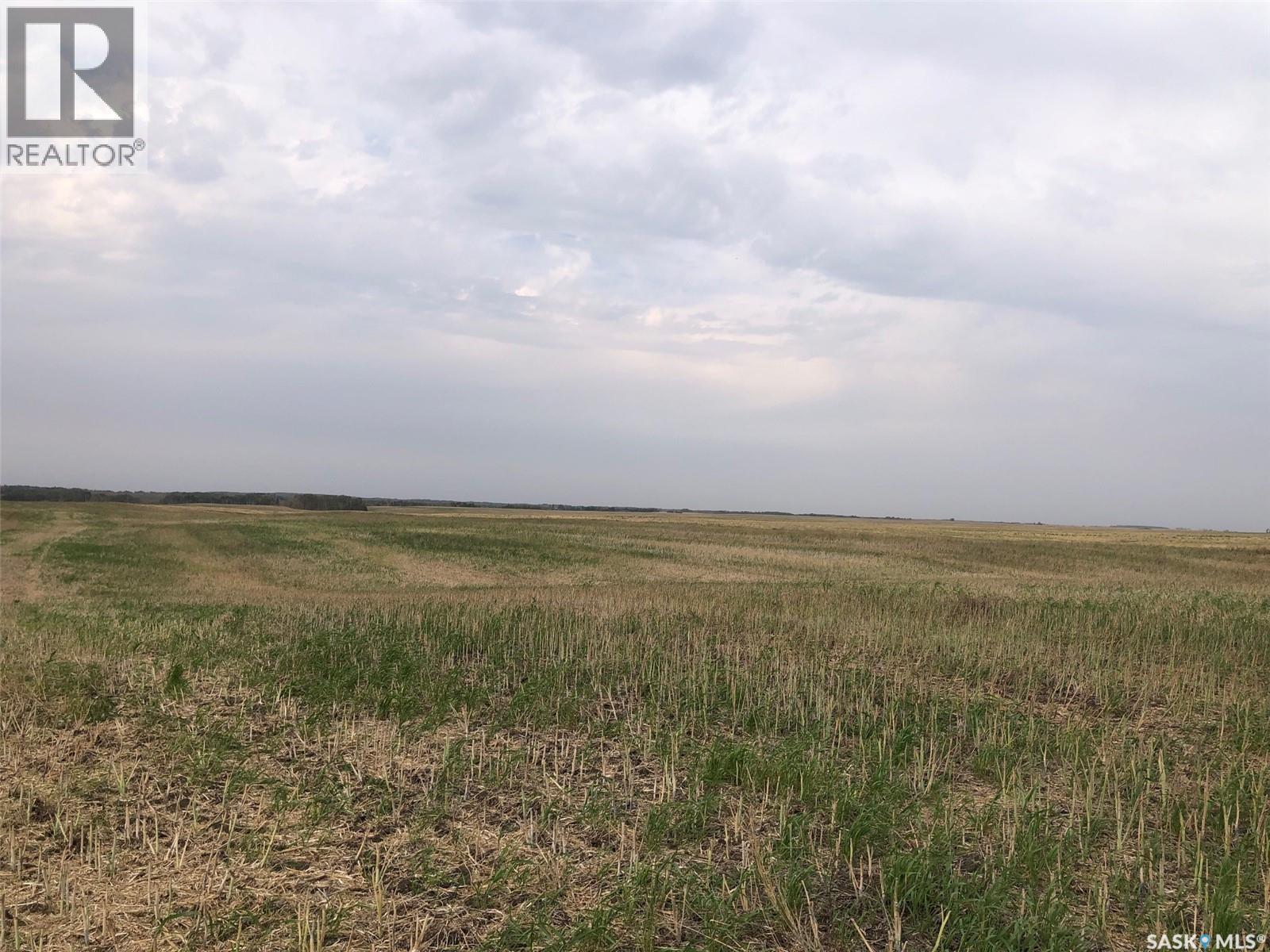 Tomilin Farm, Keys Rm No. 303, SK