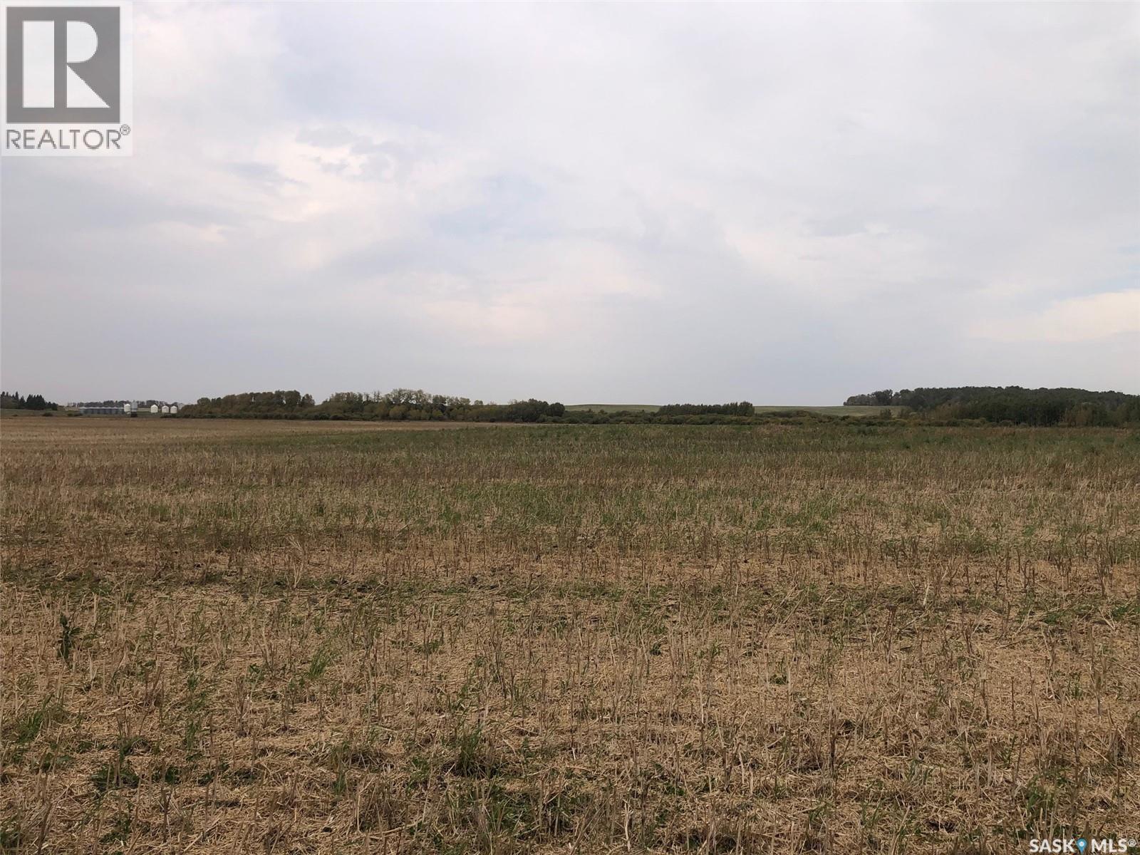 Tomilin Farm, Keys Rm No. 303, SK