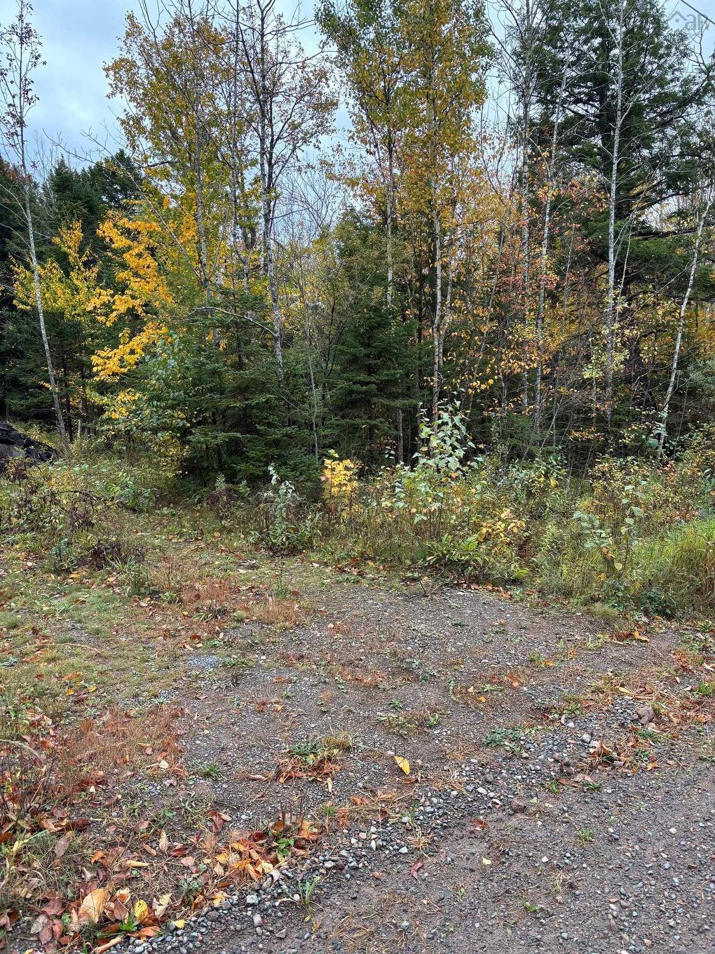 360 Condon Rd, Scotsburn, NS