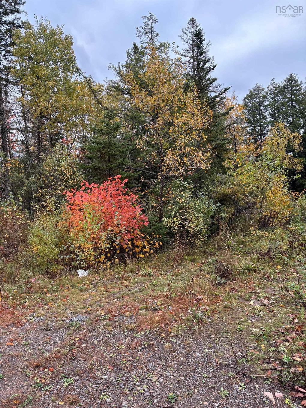 360 Condon Rd, Scotsburn, NS