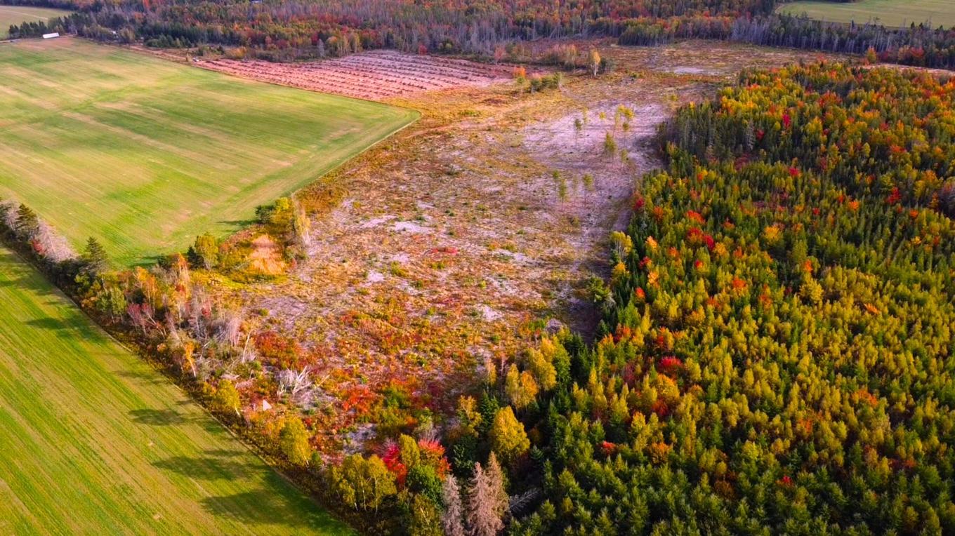 3702 Baldwins Road, Cardigan, PE