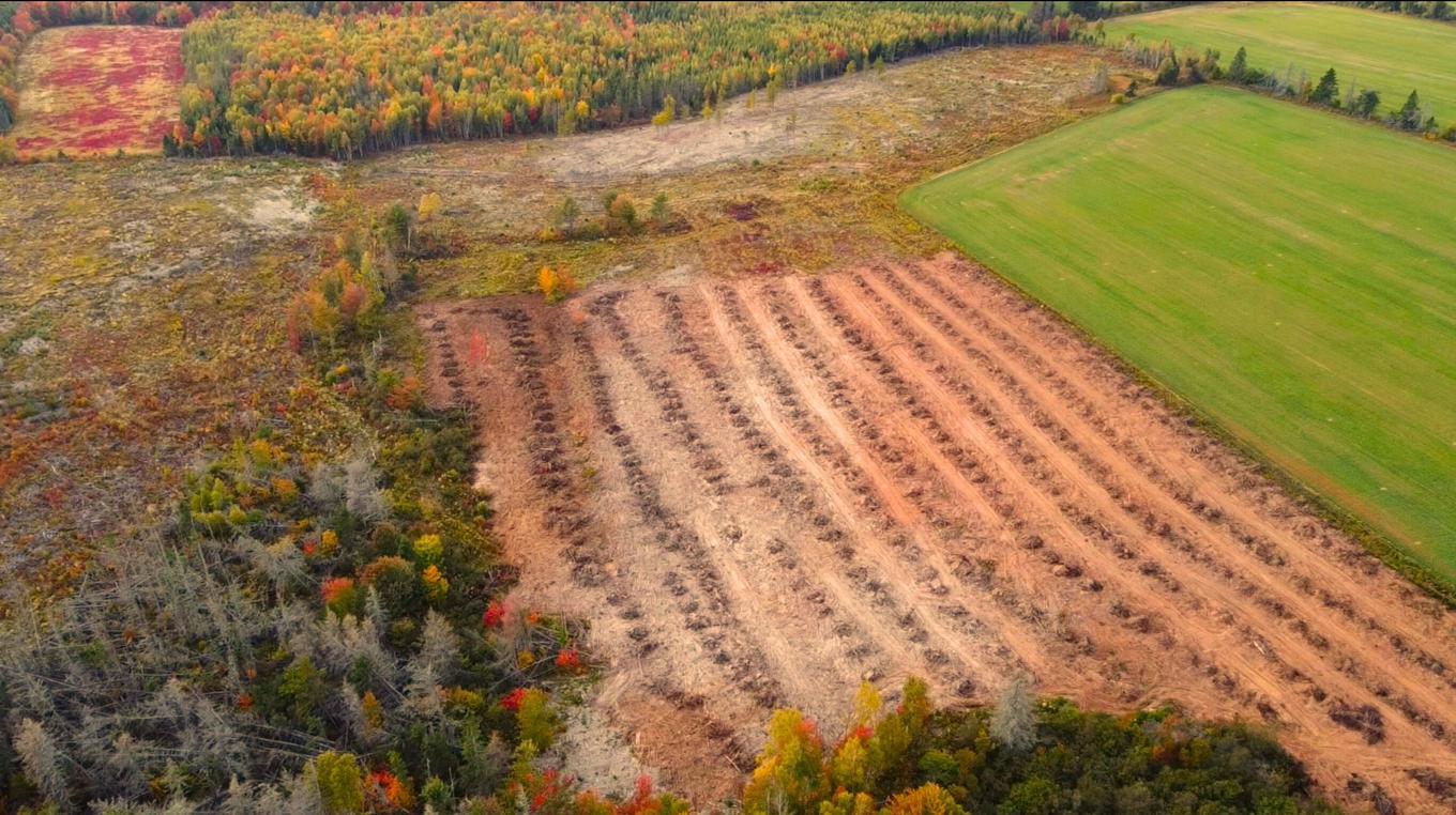 3702 Baldwins Road, Cardigan, PE