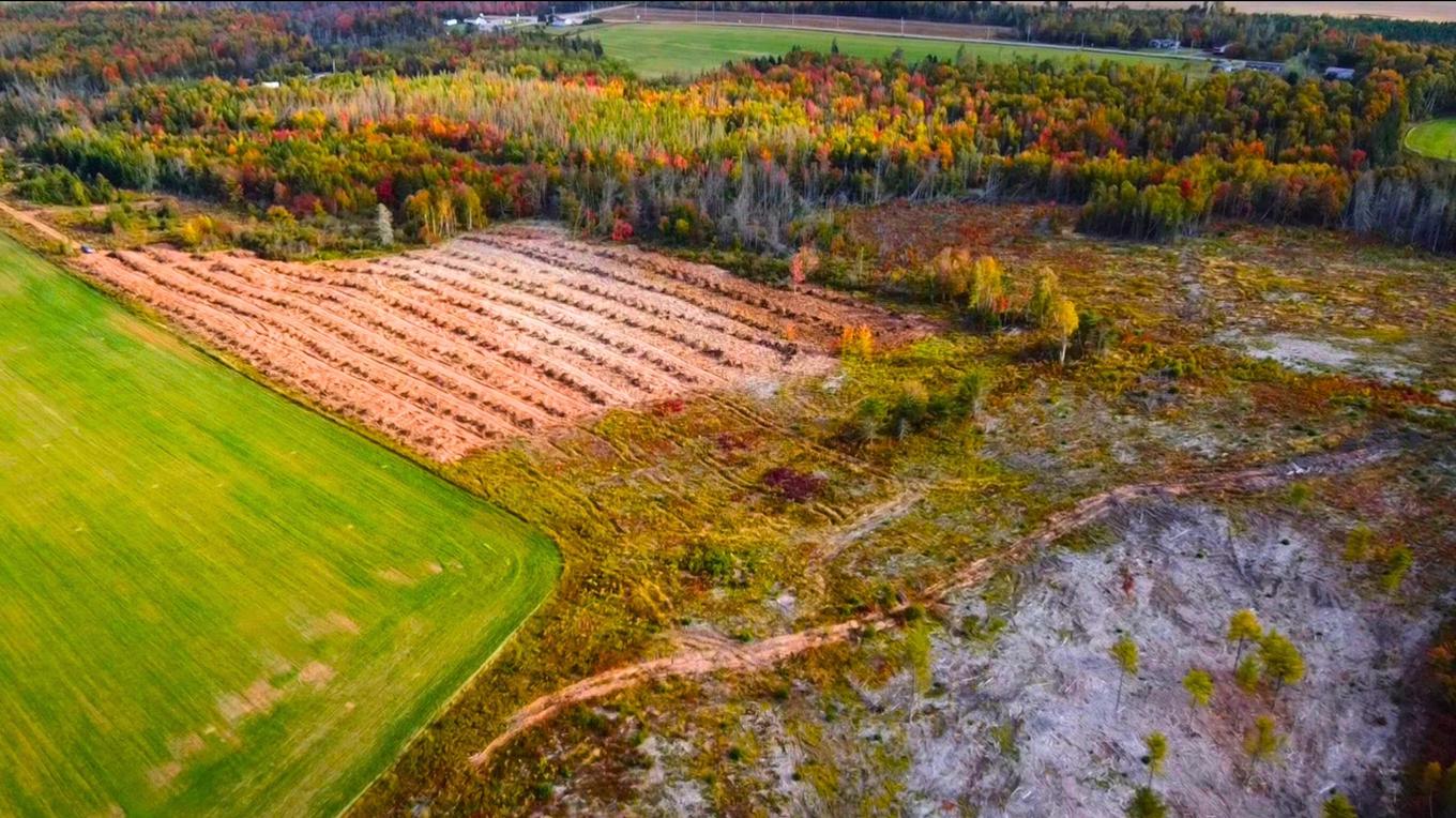 3702 Baldwins Road, Cardigan, PE