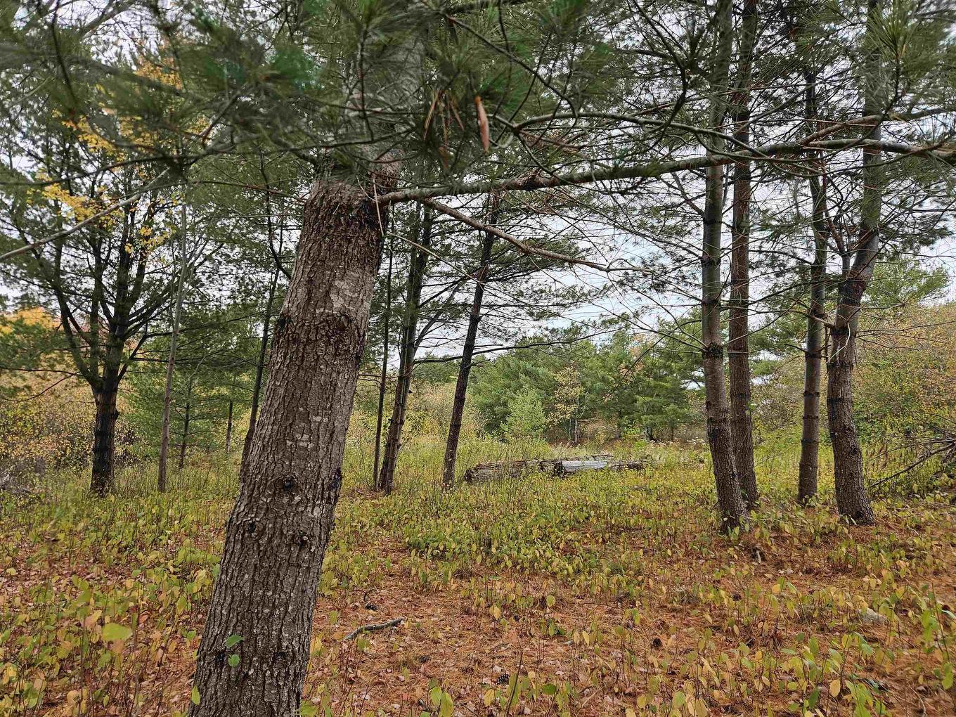 Lot (Pid 70266457) Highway 8, Caledonia, NS