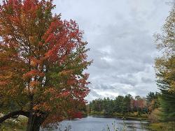 Lot (PID 70266457) Highway 8 Caledonia, NS B0T 1B0