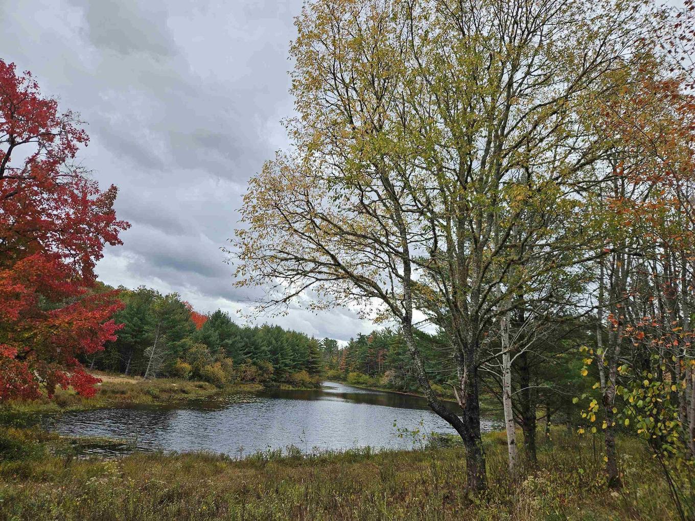 Lot (Pid 70266457) Highway 8, Caledonia, NS