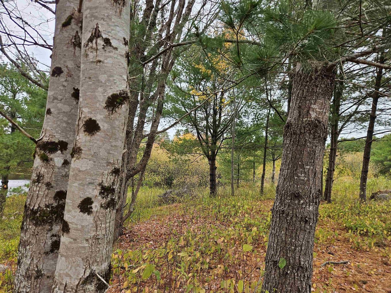 Lot (Pid 70266457) Highway 8, Caledonia, NS