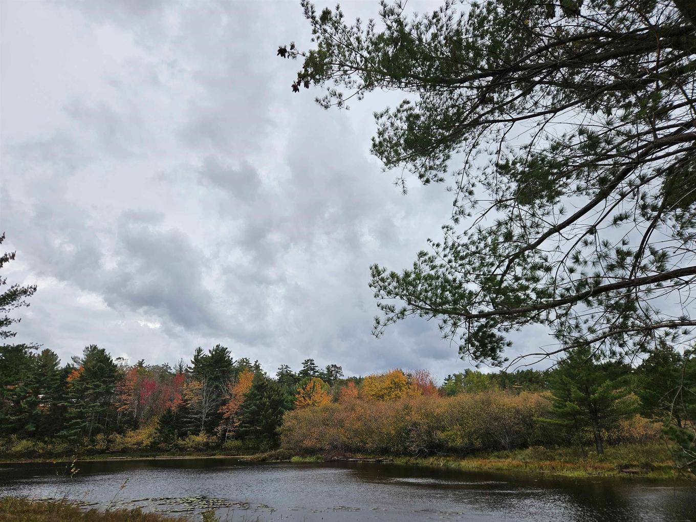 Lot (Pid 70266457) Highway 8, Caledonia, NS