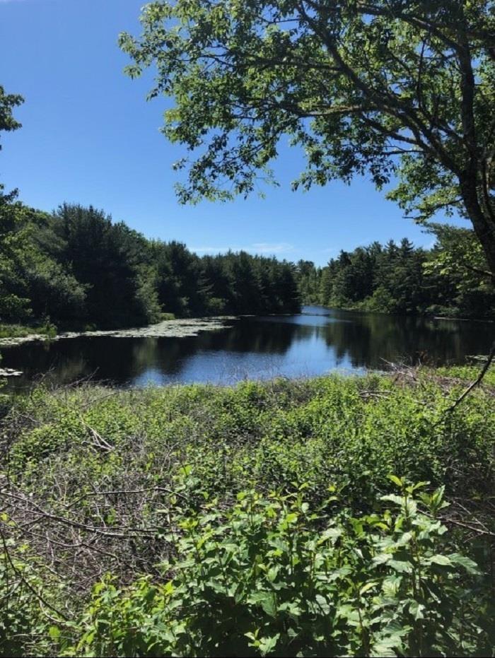 Lot (Pid 70151543) Highway 8, Caledonia, NS