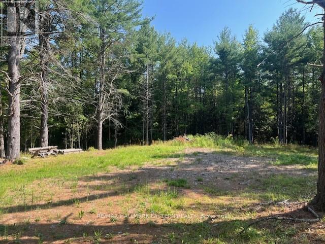 942 Balmer Road, North Kawartha, ON