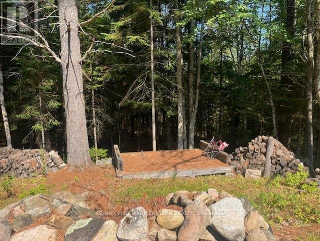 942 Balmer Road, North Kawartha, ON