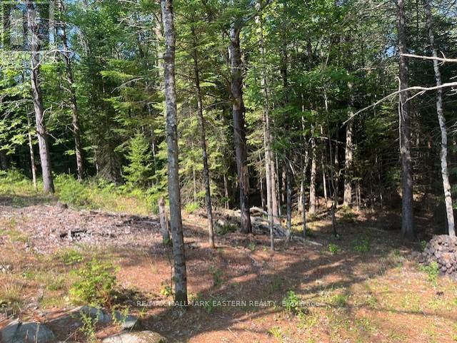 942 Balmer Road, North Kawartha, ON