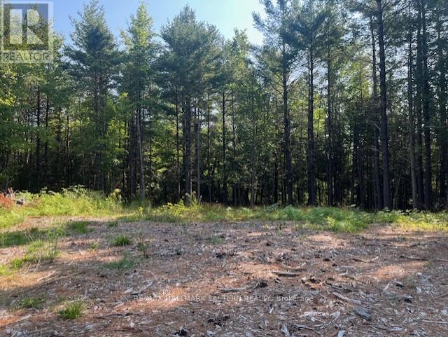 942 Balmer Road, North Kawartha, ON