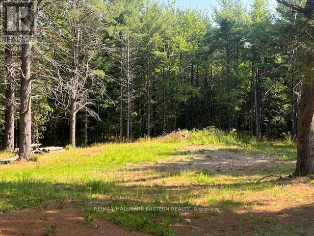 942 Balmer Road, North Kawartha, ON