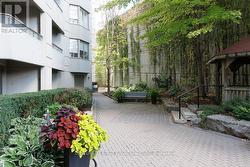 Tranquil patio area -