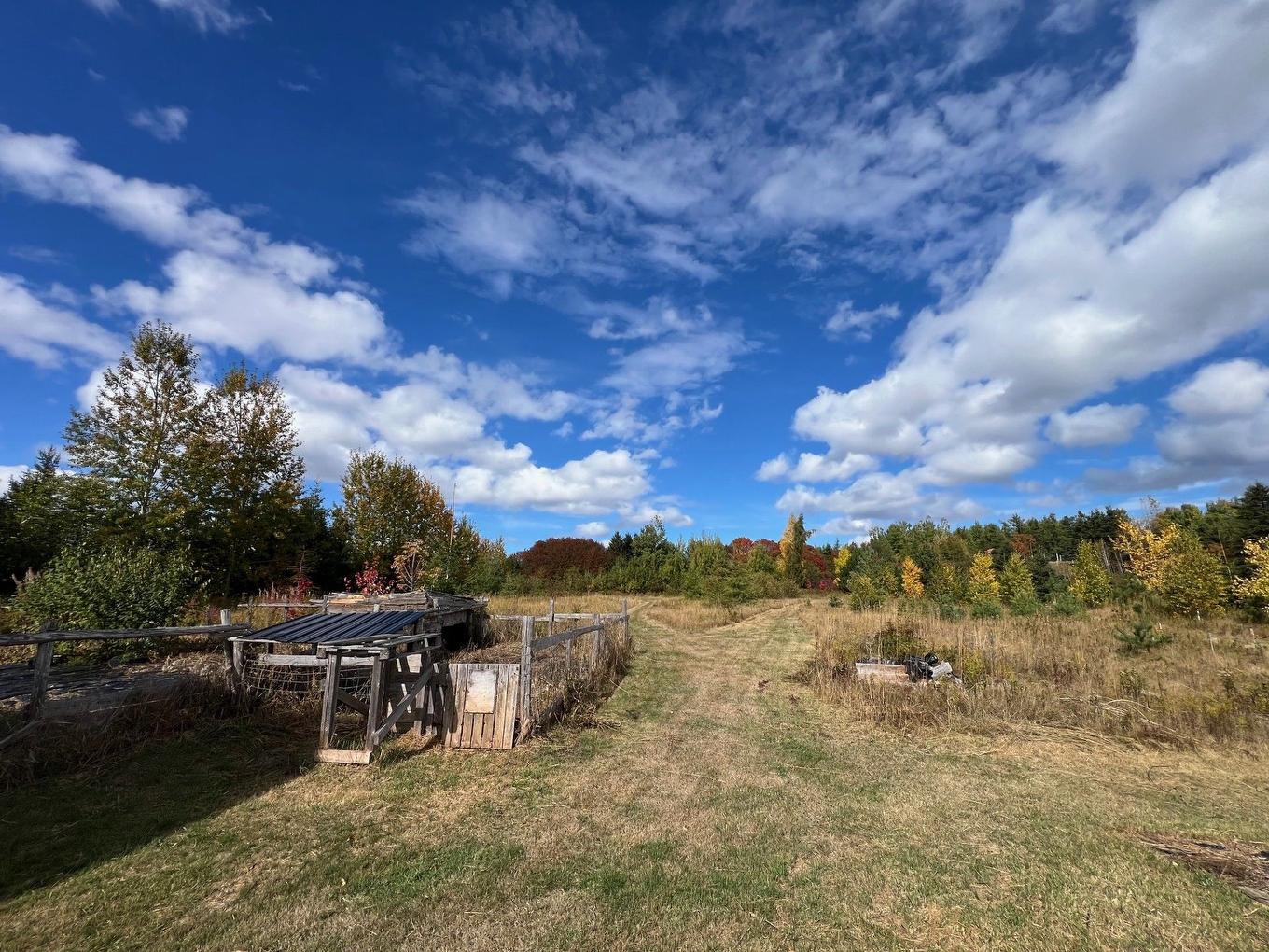 Land/Lot - 499 Route Cox, Bonaventure, QC - Outdoor With View