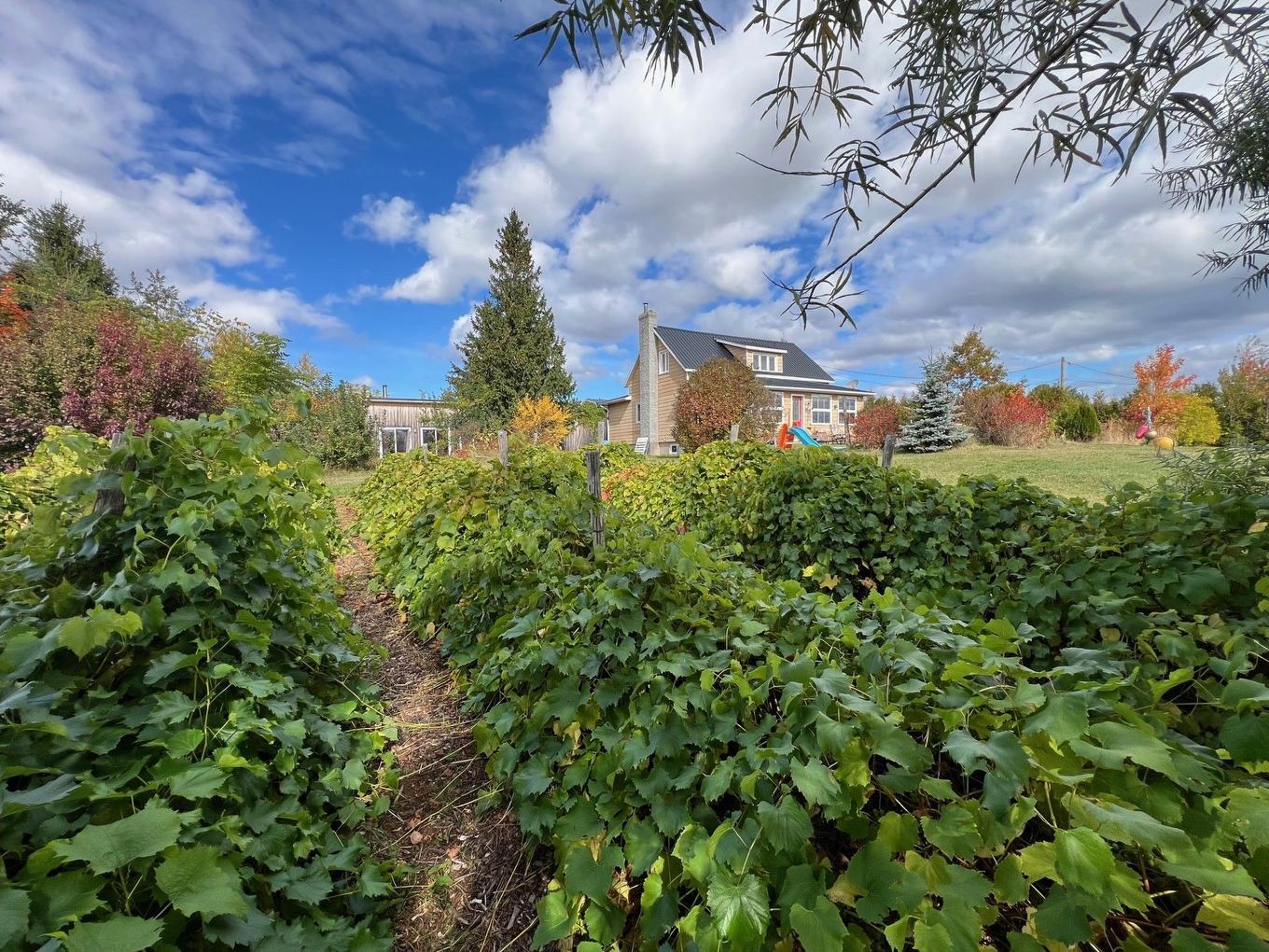 Backyard - 499 Route Cox, Bonaventure, QC - Outdoor With View