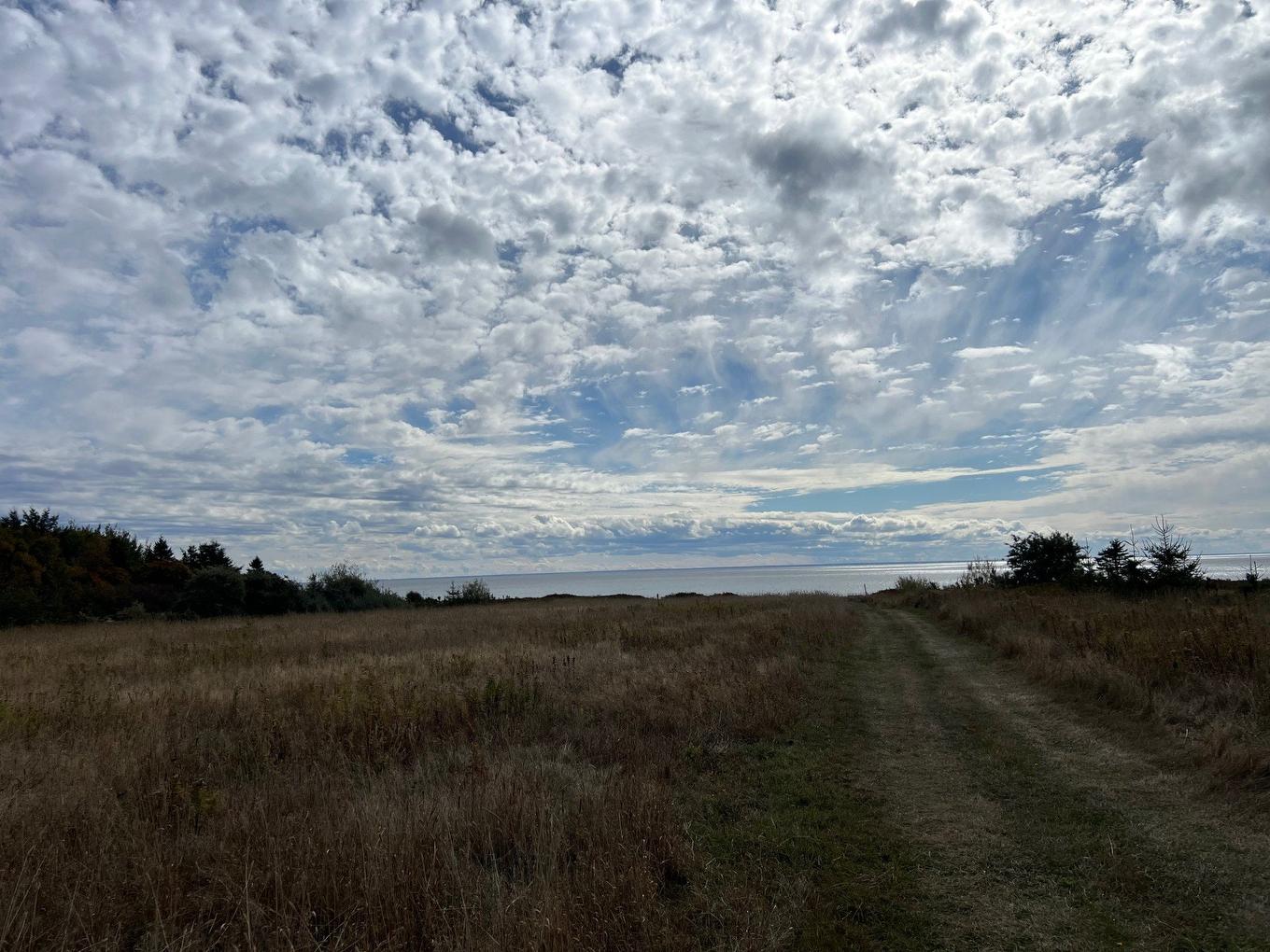 Land/Lot - 499 Route Cox, Bonaventure, QC - Outdoor With View