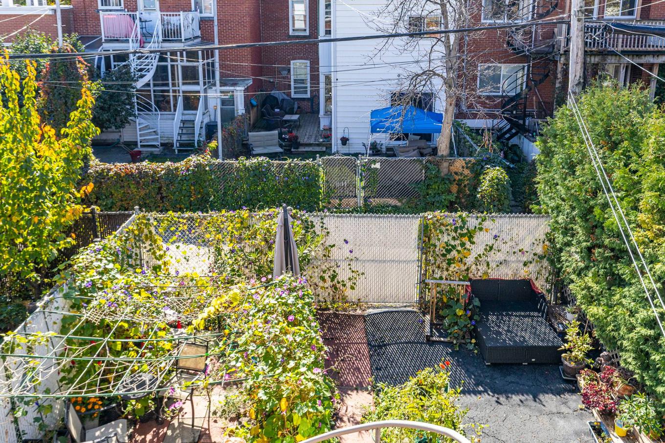 Backyard - 2194 - 2196 Rue Cardinal, Montréal (Le Sud-Ouest), QC - Outdoor