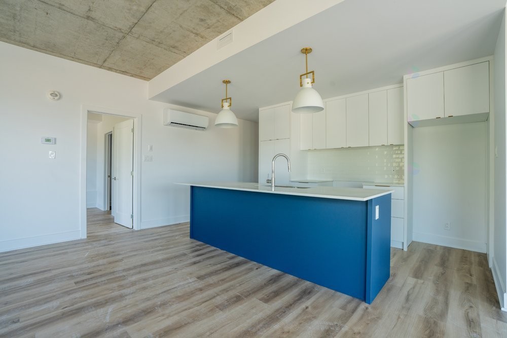 Kitchen - 102-8945 Boul. Viau, Montréal (Saint-Léonard), QC - Indoor Photo Showing Kitchen