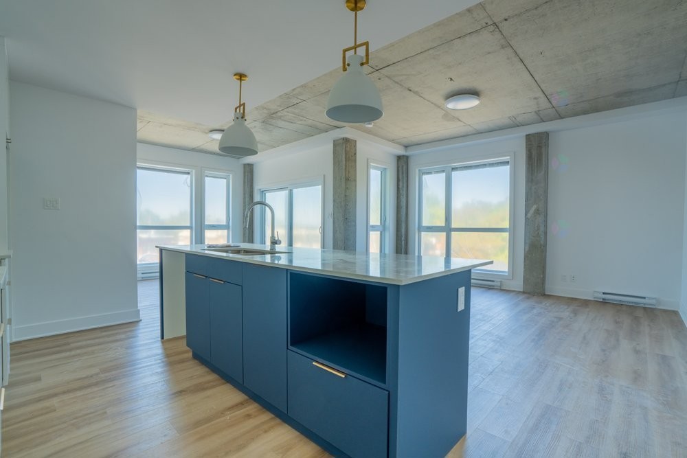 Overall view - 102-8945 Boul. Viau, Montréal (Saint-Léonard), QC - Indoor Photo Showing Kitchen With Upgraded Kitchen