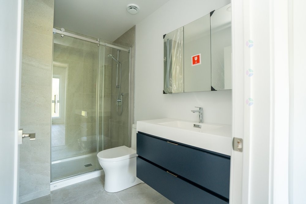 Bathroom - 102-8945 Boul. Viau, Montréal (Saint-Léonard), QC - Indoor Photo Showing Bathroom