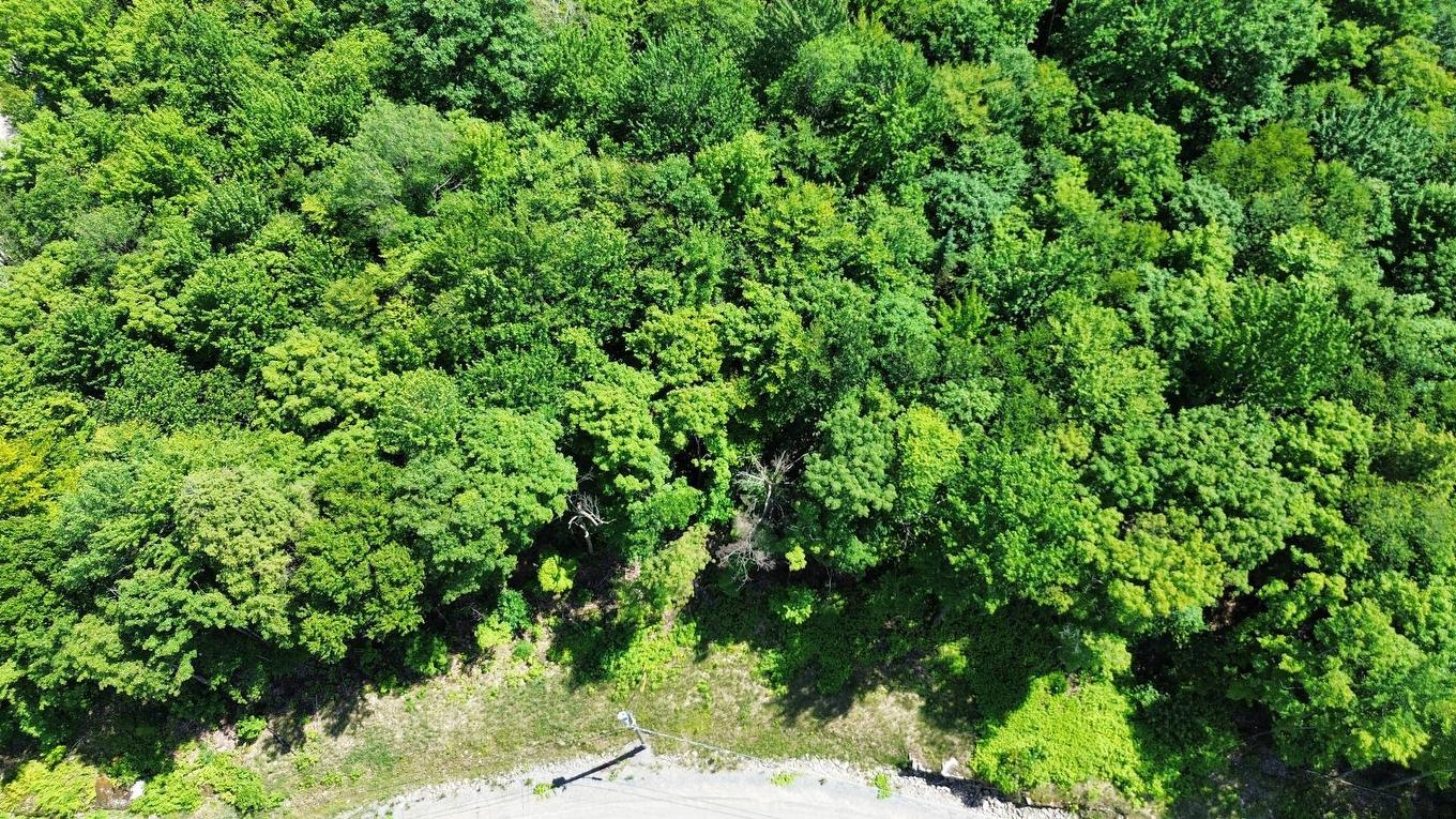 Land/Lot - 14 Ch. Des Huards, Mille-Isles, QC