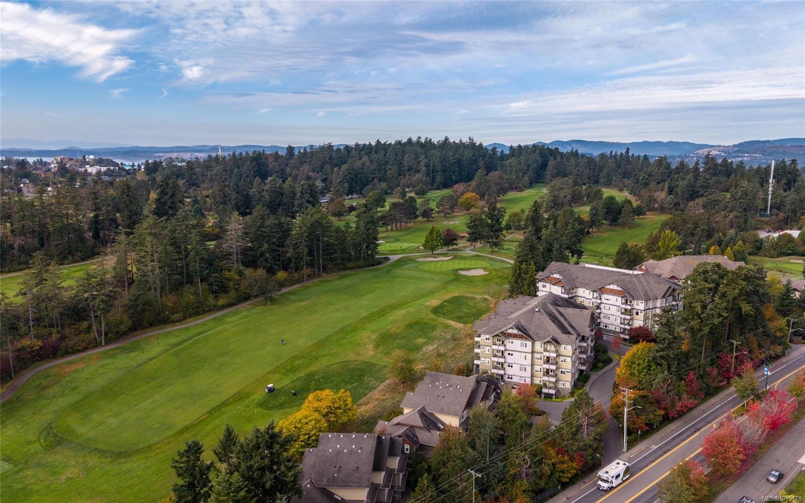 403C-1115 Craigflower Rd, Esquimalt, BC - Outdoor With View