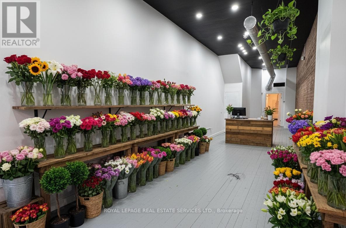 Virtually Staged - 181 King Street, Hamilton, ON