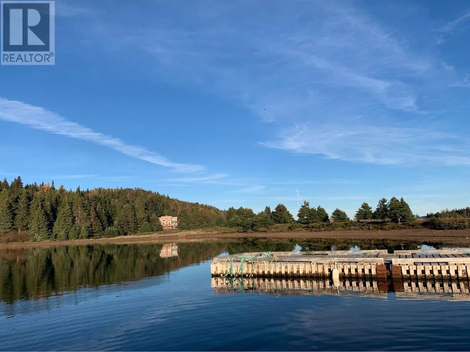 1 Julie'S Harbour Other, Badger Bay, NL - Outdoor With Body Of Water With View