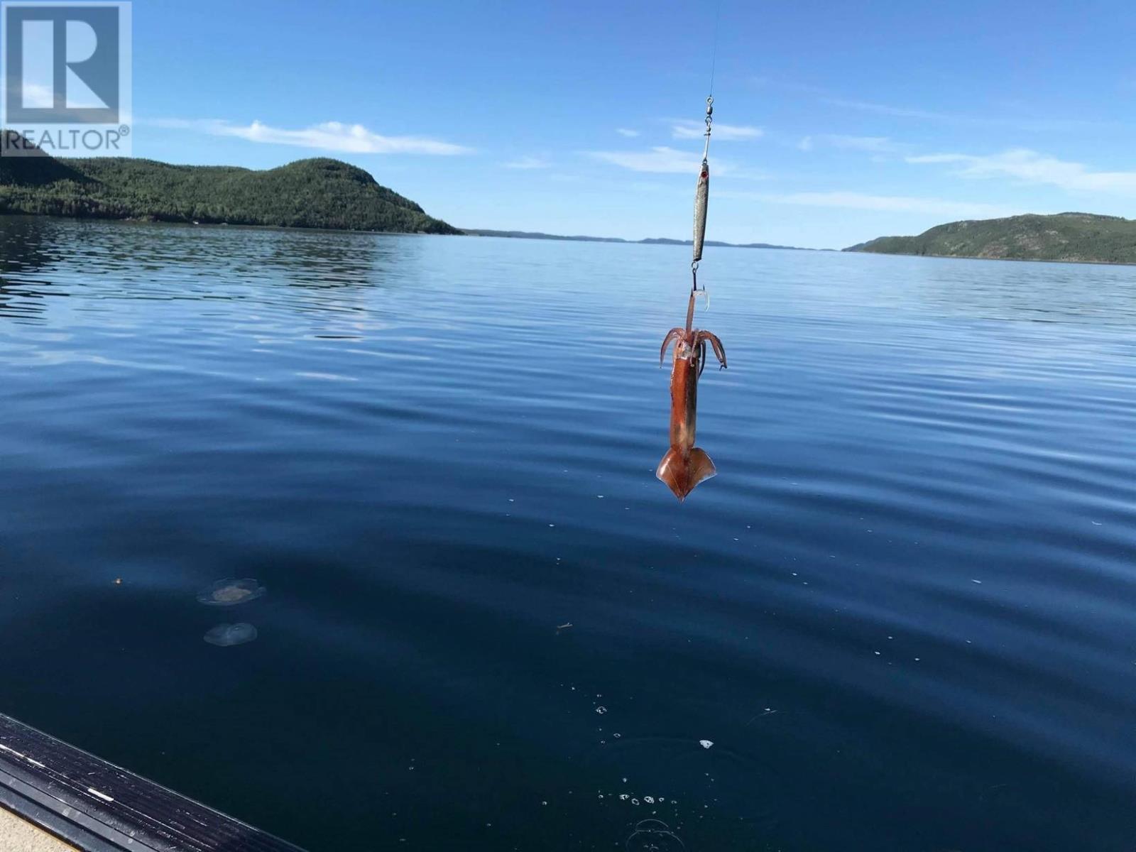 1 Julie'S Harbour Other, Badger Bay, NL - Outdoor With Body Of Water With View