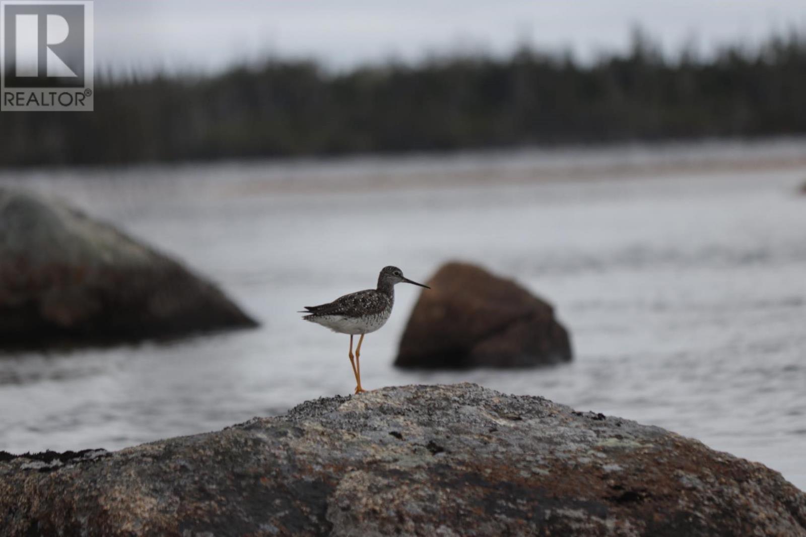 1 Julie'S Harbour Other, Badger Bay, NL - With View