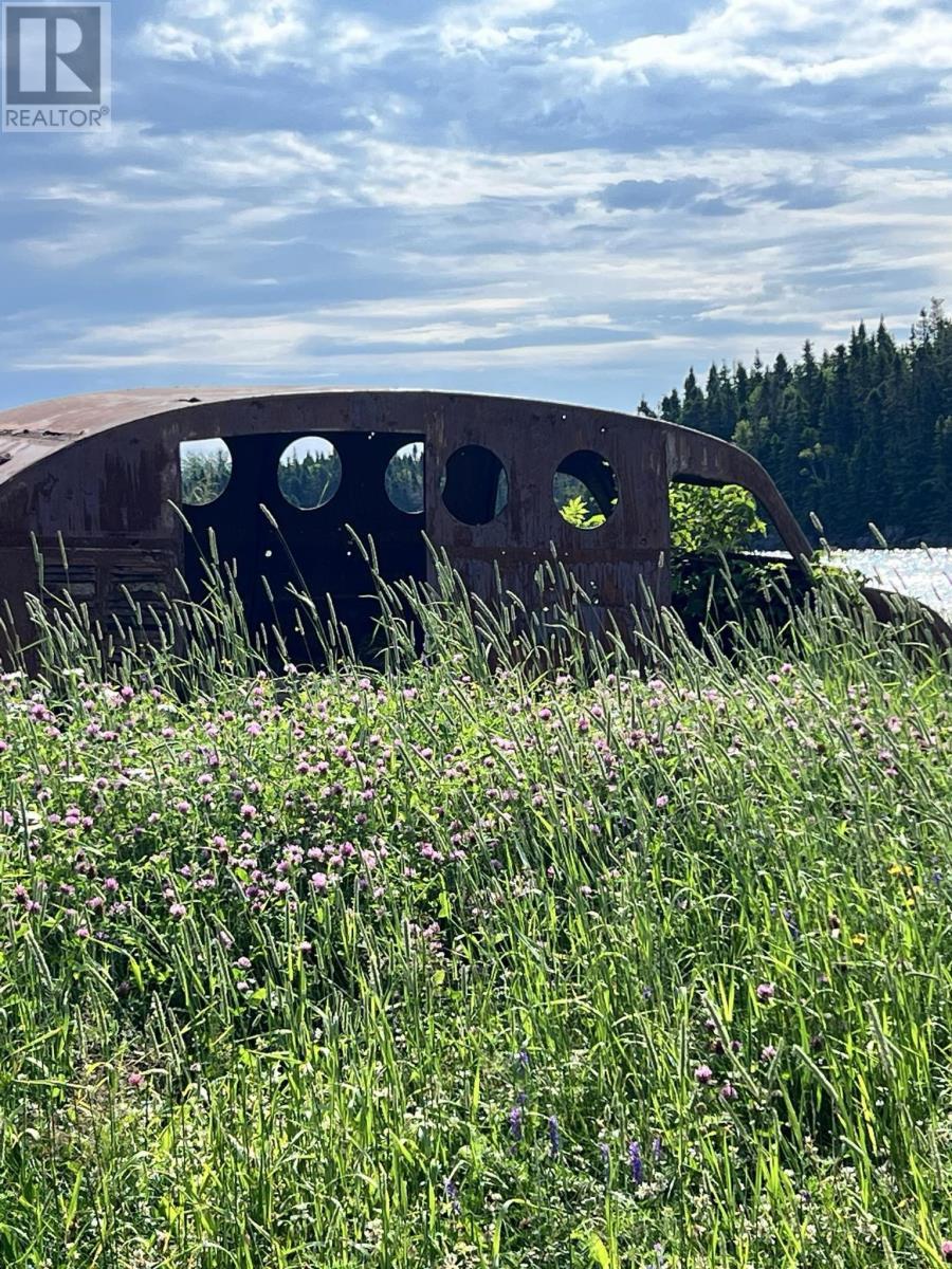 1 Julie'S Harbour Other, Badger Bay, NL - Outdoor With View