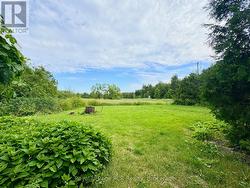 Open grass areas for play. -