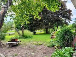 Mature trees and shrubs for privacy in front. -