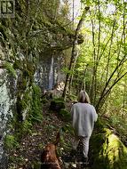 Explore the natural Niagara Escarpment. -