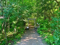 Bruce Trail marked - Niagara Falls to Tobermory. -