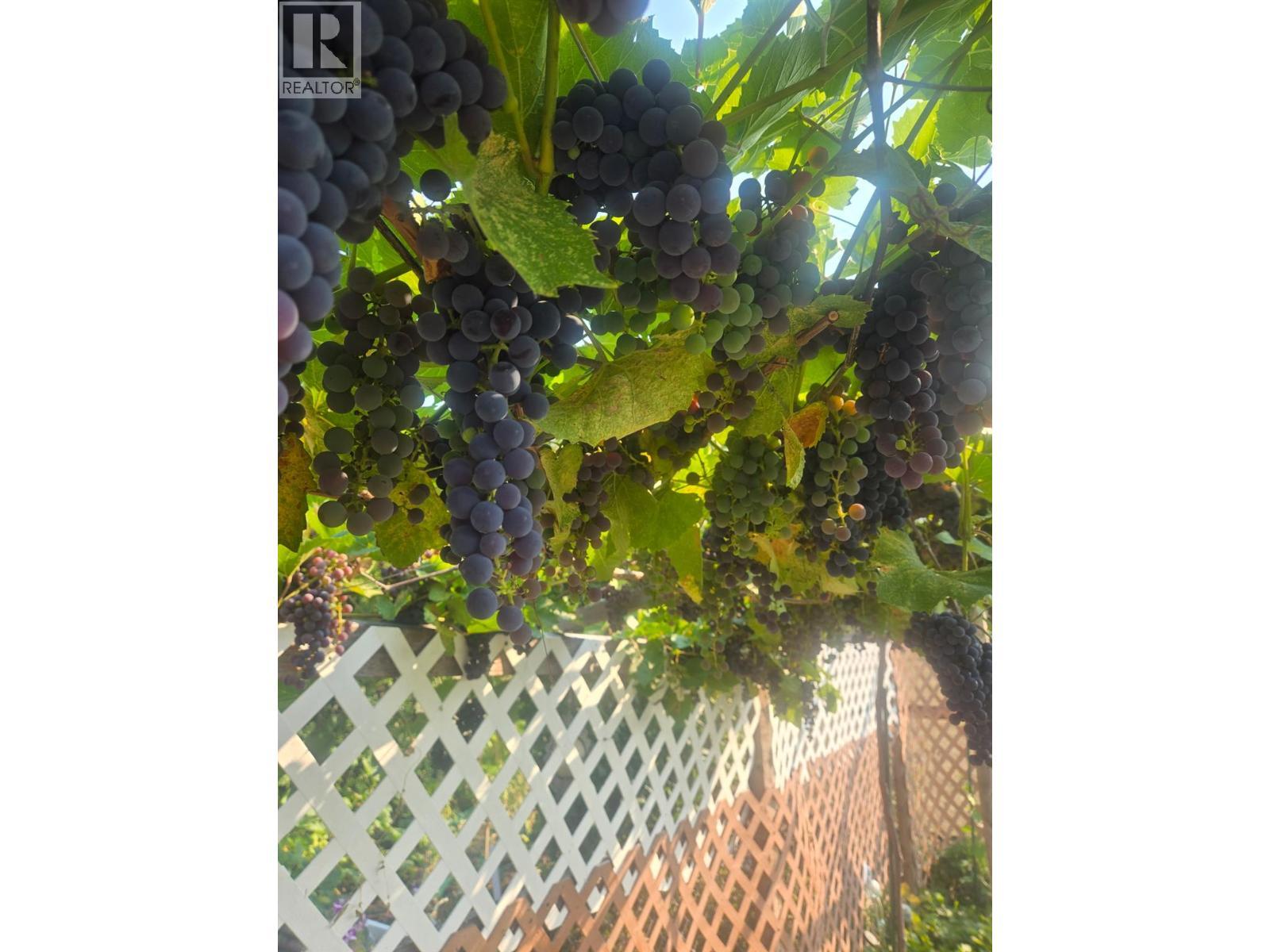 925 Thirteenth Avenue Unit# 3, Midway, BC