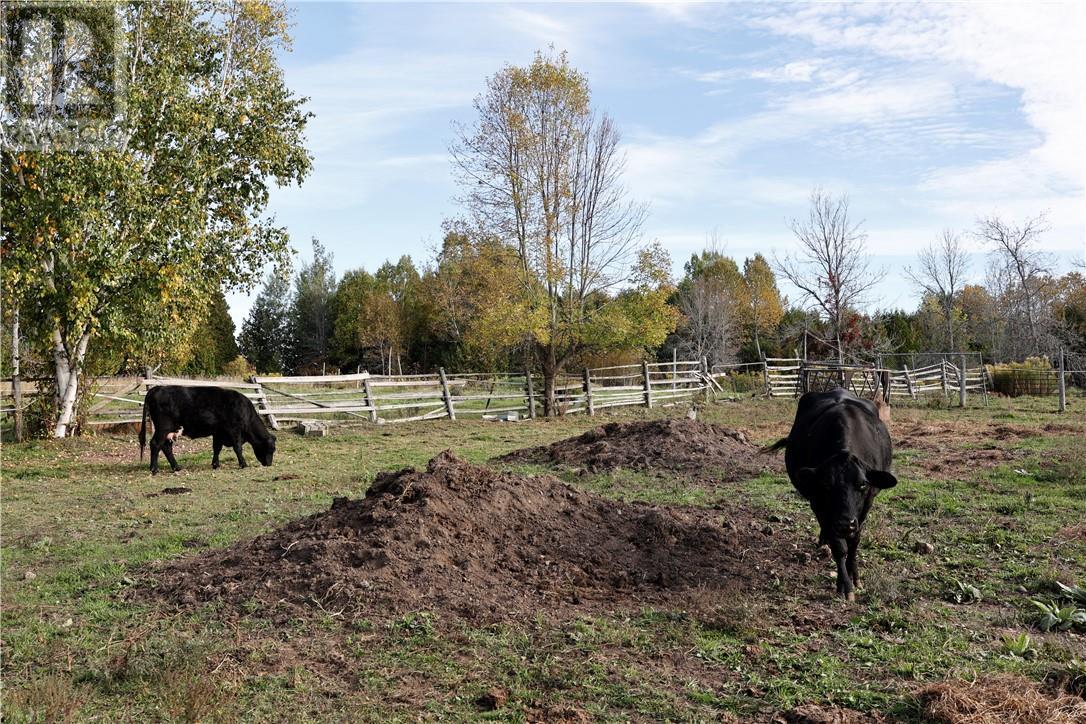 395 North Channel Drive, Little Current, ON