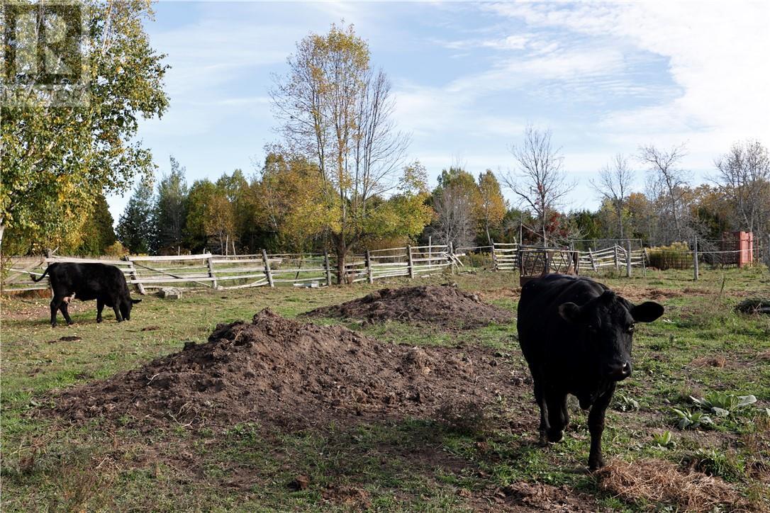 395 North Channel Drive, Little Current, ON